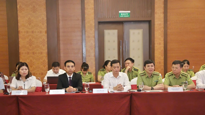 Son La har som mål å minimere virkningene av klimaendringer og beskytte og utvikle skoger.
