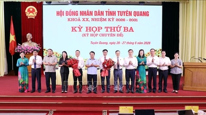 Đầu tư dự án cao tốc Tuyên Quang - Hà Giang
