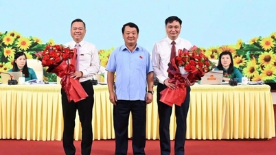 Tuyên Quang có thêm 2 Phó Chủ tịch UBND tỉnh