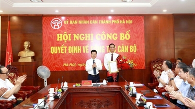Il signor Le Thanh Nam è stato nominato direttore del Dipartimento dell'Agricoltura e dell'Ambiente di Hanoi.
