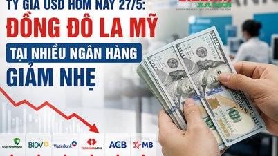 Tasso di cambio USD oggi, 27 maggio: il dollaro statunitense ha subito un leggero calo presso molte banche, con Vietcombank che lo vende a 26.393 VND/USD.
