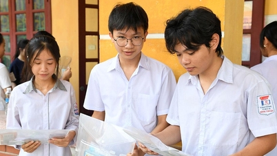 Domande e risposte per l'esame di ammissione alla decima classe di matematica a Tuyen Quang nel 2026.