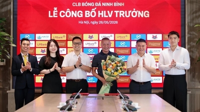 Il Ninh Binh Club avrà il suo quarto allenatore per la stagione 2025/2026.