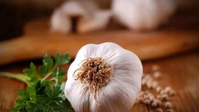 7 cose da tenere a mente per chi mangia spesso aglio.