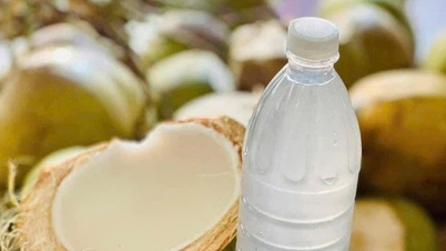 È consigliabile bere acqua di cocco anziché acqua naturale per rinfrescarsi durante le giornate molto calde?
