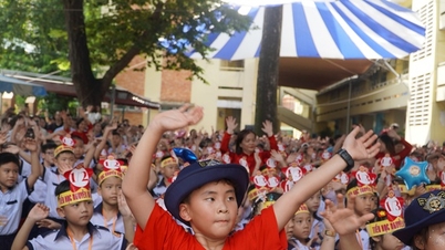 Het Departement van Onderwijs en Training van Ho Chi Minh-stad heeft een dringende mededeling uitgegeven omdat veel ouders hun kinderen onjuist hebben ingeschreven voor de basisschool.