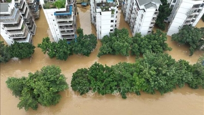 ব্যাপক বন্যার বিষয়ে চীনের প্রতিক্রিয়া।