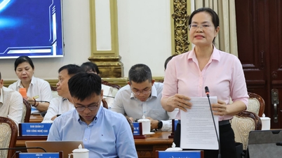 Le imprese di Ho Chi Minh City hanno contribuito con numerosi meccanismi innovativi alla Legge sulle aree urbane speciali.