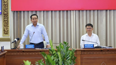 La città di Ho Chi Minh si consulta con le imprese per finalizzare la bozza della legge sulle aree urbane speciali.
