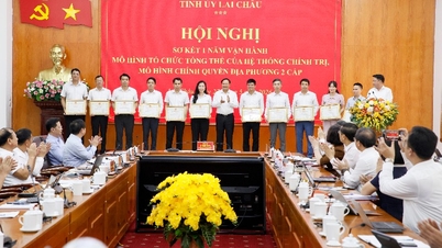 Il segretario provinciale del Partito, Le Minh Ngan, ha richiesto al gruppo di funzionari di cambiare mentalità e metodi di lavoro nella gestione del governo locale a due livelli.