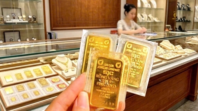 Il prezzo dell'oro è crollato di quasi 1 milione di VND.