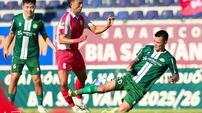 Huu Tuan è stato squalificato per due partite per aver calciato alla gamba Dao Tan Loc, giocatore del TP.HCM FC.