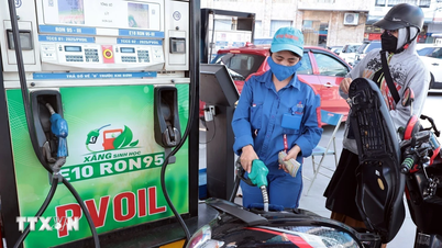 "Lancio" della benzina E10: l'Associazione dei produttori automobilistici vietnamiti "decifra" le preoccupazioni sulla sicurezza dei motori.