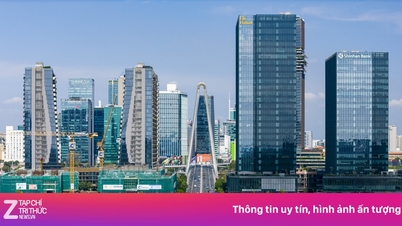 Becamex mengusulkan reformasi terhadap pengelolaan modal negara di perusahaan-perusahaan di Kota Ho Chi Minh.