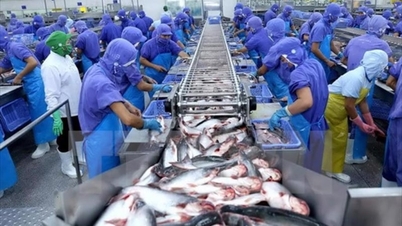 Il Ministero dell'Agricoltura e dell'Ambiente ha chiesto all'Arabia Saudita di valutare la possibilità di riaprire il proprio mercato ai gamberi e ai pesci gatto vietnamiti.