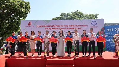 Saigon Co.op ha introdotto 300 tonnellate di litchi Thanh Ha nella sua rete di distribuzione nazionale.