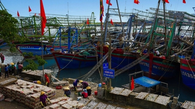 I pescatori di Nghe An cambiano le loro tecniche, avventurandosi in mare aperto durante la stagione principale della pesca.