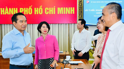 Le imprese offrono suggerimenti per creare opportunità di sviluppo per la città di Ho Chi Minh.
