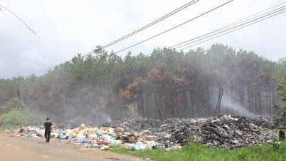 La provincia di Lam Dong è alla ricerca di soluzioni per affrontare in modo definitivo l'inquinamento della discarica di Di Linh.