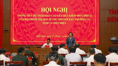 La vice prima ministra Pham Thi Thanh Tra ha presieduto la commissione d'ispezione del Politburo operante a Dien Bien.