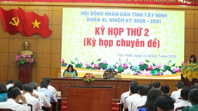 Tay Ninh inwestuje w projekt drogowy o długości ponad 110 km, o łącznym kapitale przekraczającym 20 700 miliardów VND, łączący Long An z Tan Ninh.