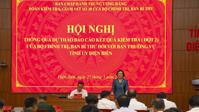 Vicepremier Pham Thi Thanh Tra leidde het inspectieteam en werkte in Dien Bien.