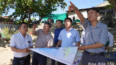 Il vicepresidente del Comitato popolare provinciale, Nguyen Thien Van, effettua un'ispezione in loco delle aree di acquacoltura.