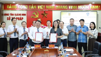 Sectorul judiciar din Quang Ninh contribuie la construirea unui mediu de investiții și afaceri transparent și sigur.