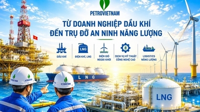 Petrovietnam: la "forza trainante" che garantisce la sicurezza energetica nazionale.