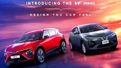 Lezioni dal Vietnam per il miliardario Elon Musk