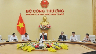 Il viceministro Nguyen Hoang Long collabora con il gruppo Novatek nel settore del GNL.