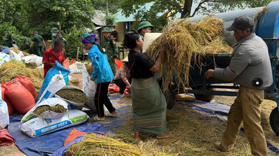 A bountiful golden season in the border region.