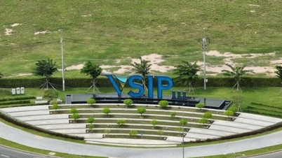 Singapore e Vietnam: costruire insieme le competenze chiave per l'economia del futuro.