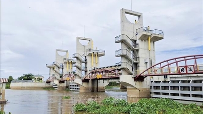 O delta do Mekong enfrenta pressão devido aos recursos hídricos e à intrusão de água salgada.