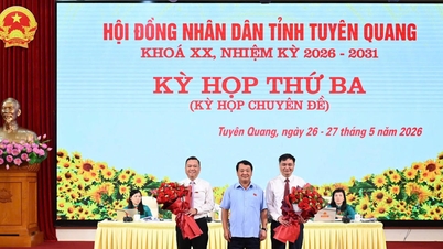 Sono stati eletti altri due vicepresidenti del Comitato popolare della provincia di Tuyen Quang.