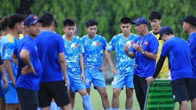 La nazionale vietnamita Under 20 è inserita nello stesso girone di qualificazione asiatico di Thailandia e Indonesia.