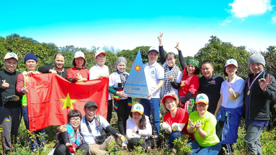 Scoprite la variegata bellezza del turismo a Nghe An.