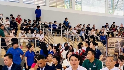Khanh Hoa: Feria de Empleo - Creando un entorno para que los estudiantes adquieran experiencia práctica en el mercado laboral.