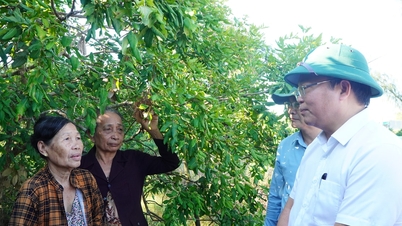 ត្រូវការសកម្មភាពបន្ទាន់ ដើម្បីដោះស្រាយឧបសគ្គក្នុងគម្រោងតាំងទីលំនៅថ្មីនៅក្នុងឃុំយុយងៀ។