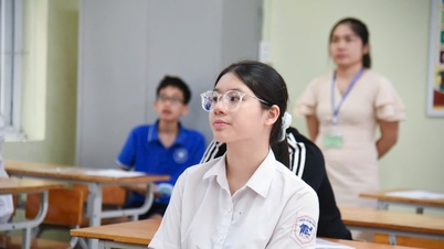 ข้อเสนอดังกล่าวแนะนำให้ให้ความสำคัญกับภาษาอังกฤษในการฝึกอบรมวิชาชีพ โดยปฏิบัติตามแผนงานเพื่อให้ภาษาอังกฤษเป็นภาษาที่สองในโรงเรียน