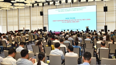 Hai Phong si sta preparando a seminare 77.000 ettari di riso per la stagione del raccolto 2026.