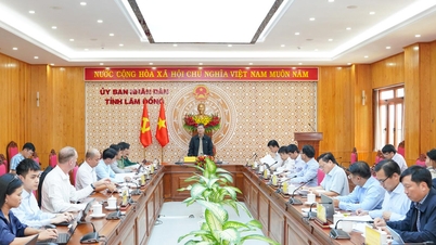 La provincia di Lam Dong è determinata a completare l'adeguamento del Piano provinciale di Lam Dong nella fase di "spinta finale".