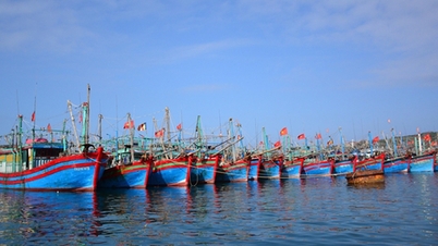 Hải Phòng: Cứu hộ thành công 11 người gặp nạn trên vùng biển Bạch Long Vĩ