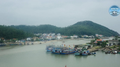 Nella provincia di Nghe An non ci sono pescherecci che violino le normative sulla pesca illegale in acque straniere.