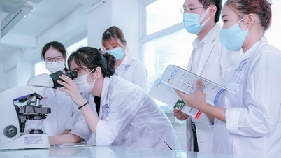 Ora Ho Chi Minh City ha un'altra università che offre corsi di formazione medica.