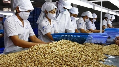 Il Ministero dell'Agricoltura e dell'Ambiente propone di abrogare oltre 100 documenti obsoleti.