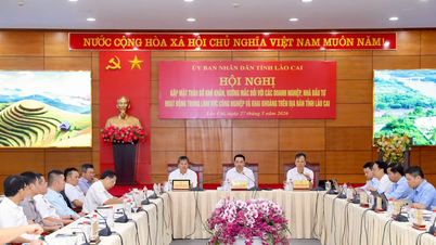 Lào Cai tổ chức Hội nghị gặp mặt tháo gỡ khó khăn, vướng mắc đối với các doanh nghiệp, nhà đầu tư hoạt động trong lĩnh vực công nghiệp và khai khoáng