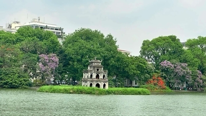 Hà Nội thúc đẩy lối sống xanh bằng loạt hoạt động vì môi trường và giao thông sạch
