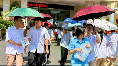 Domande e risposte per la prova di inglese dell'esame di ammissione alla decima classe nella provincia di Lao Cai nel 2026.