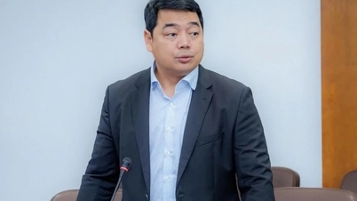L'investitore dell'aeroporto di Long Thanh ha l'autorità di nominare un nuovo direttore generale.